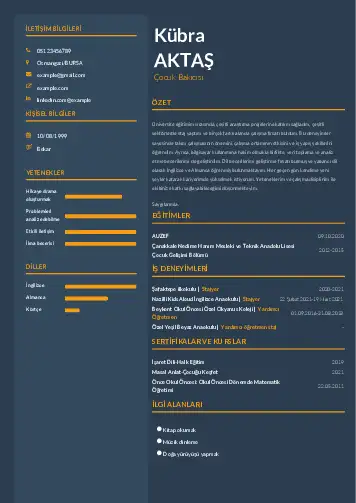 Çocuk Bakıcısı CV Örnekleri cv indir